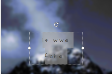 Is WWE Fake